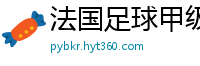 法国足球甲级联赛